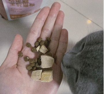 貓糧哪個(gè)牌子好？信元發(fā)育寶貓糧值得無限回購