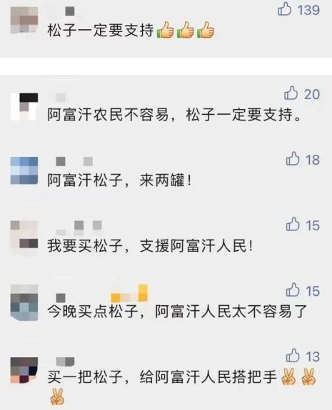 雙十一李佳琦王冰冰賣空12萬罐阿富汗松子 雙11助力進博會帶貨直播