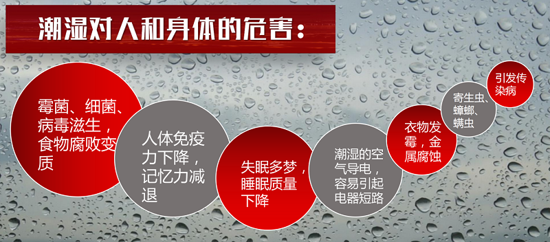 家用除濕機哪個品牌值得買？哪個型號性價比高？