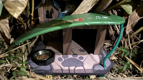 部落沖突聯(lián)合PETKIT小佩安置高校流浪貓屋，呼吁保護(hù)流浪動(dòng)物