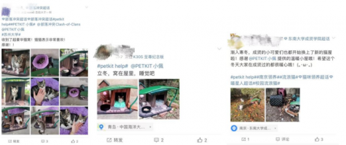 部落沖突聯(lián)合PETKIT小佩安置高校流浪貓屋，呼吁保護(hù)流浪動(dòng)物