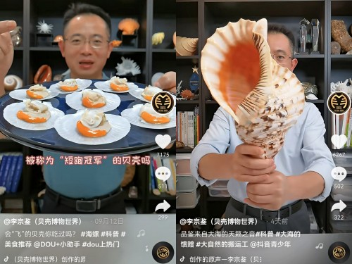 揭秘貝類的前世今生，他在抖音為65萬(wàn)人開“貝殼博物館”