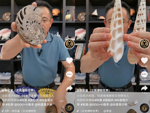 揭秘貝類的前世今生，他在抖音為65萬(wàn)人開“貝殼博物館”