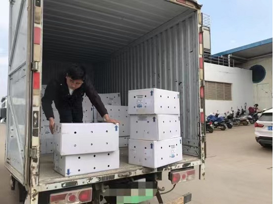 快電用戶故事:95后新能源貨車司機的奮斗青春