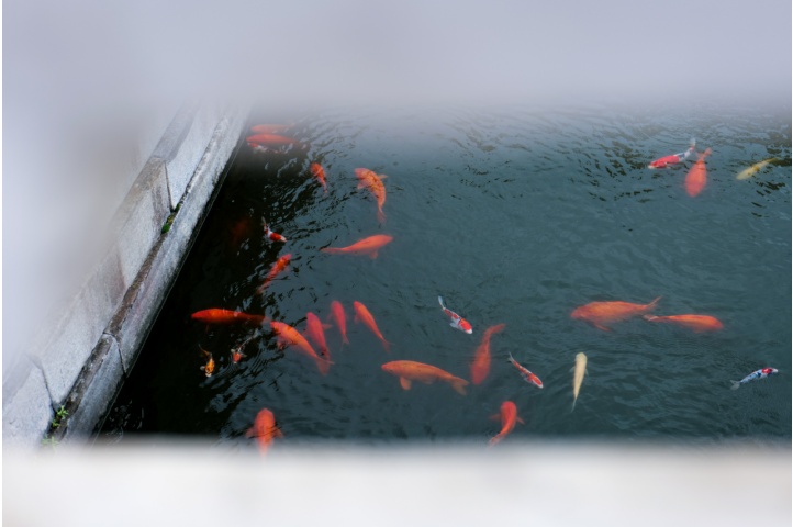 當(dāng)松下S5邂逅故宮，這次拍點(diǎn)不一樣的