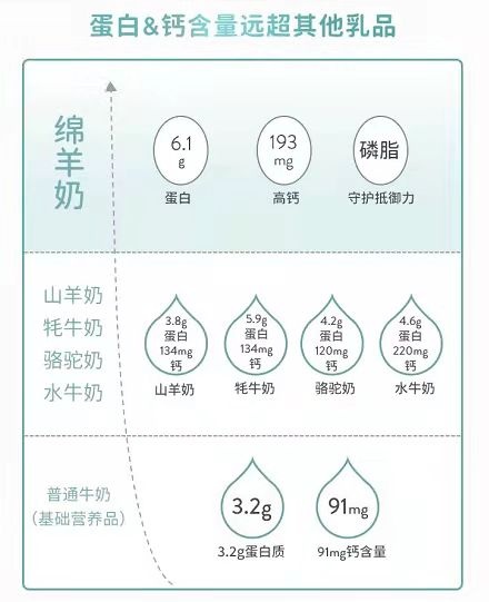 Spring Sheep?春綿?榮獲農牧企業(yè)最快增長Top1，高端綿羊奶引領世界乳品新未來！