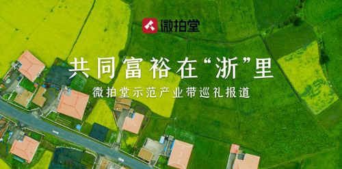 他通過微拍堂傳播昌化雞血石文化 年入500萬！