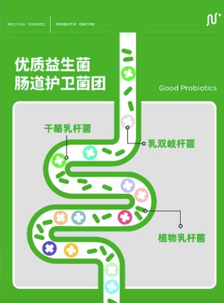 年輕記錄呵護國人腸道，上線地鐵廣告引發(fā)關注