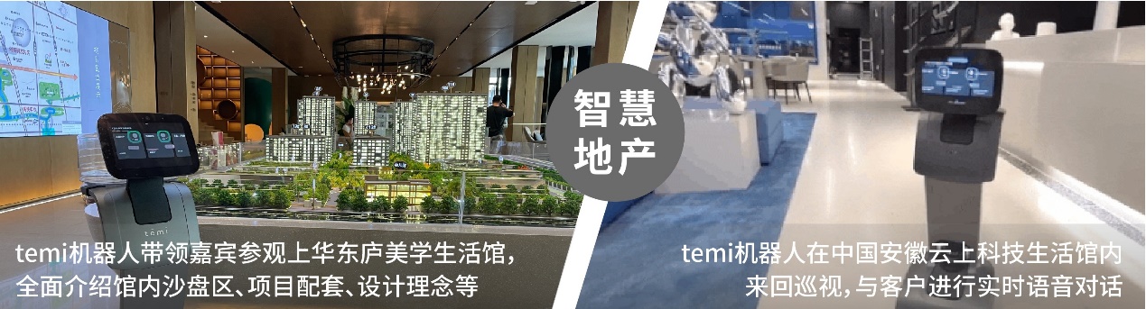 洞見智能：新格局、新活力、新突破，temi穩(wěn)步發(fā)展