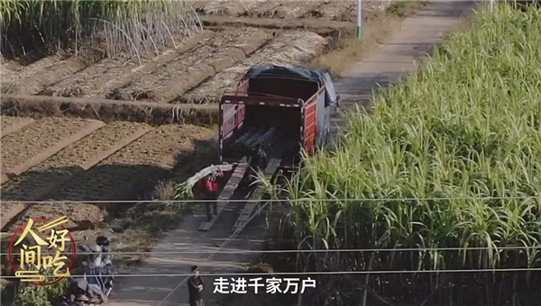 叮咚買(mǎi)菜“青山綠水”計(jì)劃助力鄉(xiāng)村振興，蔗農(nóng)林小根忙碌且幸福