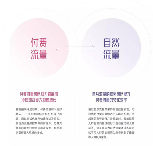 拆解280個新品牌后，我們發(fā)現(xiàn)了可復制的四招突圍