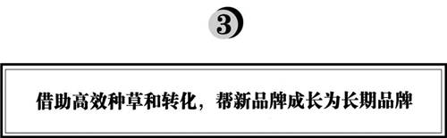 拆解280個新品牌后，我們發(fā)現(xiàn)了可復制的四招突圍
