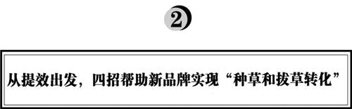 拆解280個新品牌后，我們發(fā)現(xiàn)了可復制的四招突圍
