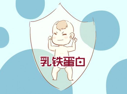 ?乳鐵蛋白奶粉哪個品牌好？這款荷蘭奶粉受到“皇家”認(rèn)可！
