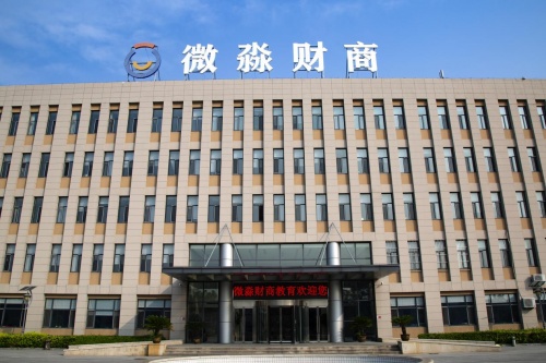 解讀微淼為何能成為財商教育的行業(yè)領(lǐng)跑者？