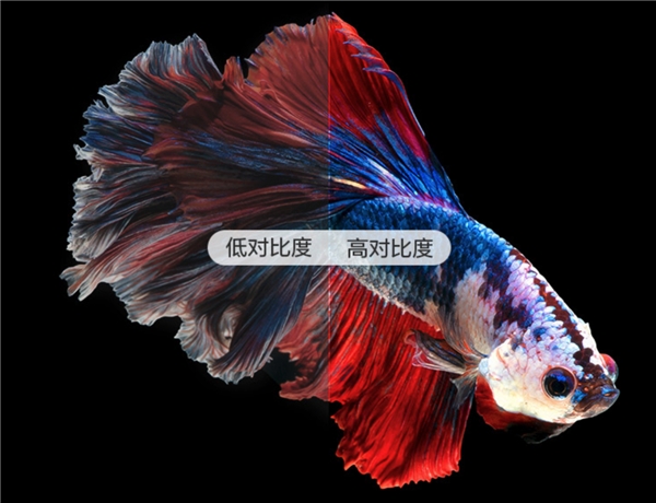 家用投影儀怎么選？奶爸告訴你答案