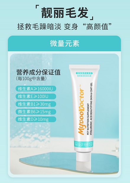 泰迪狗愛掉毛褪色怎么辦？麥都小藍(lán)管教你美毛方法！