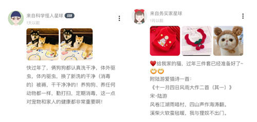 Soul發(fā)布春節(jié)寵物寄養(yǎng)報(bào)告：超過1成“鏟屎官”為照顧寵物不回家過年