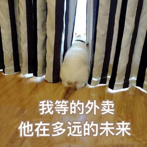 卓思：懶人經(jīng)濟(jì)下，專業(yè)上門服務(wù)如何尋找最優(yōu)路徑