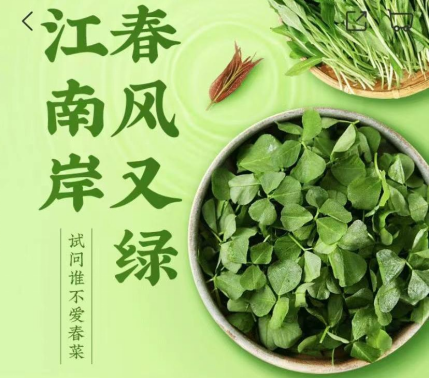 折耳根葉、蠶豆、馬蘭頭.......叮咚買菜推出特色春菜及系列預(yù)制菜