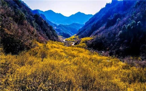 河南衛(wèi)視上映《醫(yī)圣》，仲景文化在傳承