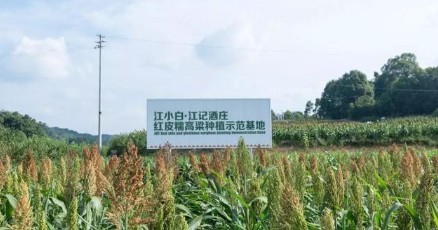 江小白構(gòu)建起全產(chǎn)業(yè)鏈，“重振渝酒”計劃帶來連鎖效應(yīng)