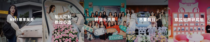 歐拉品牌煥新向上，差異化競爭領跑細分賽道
