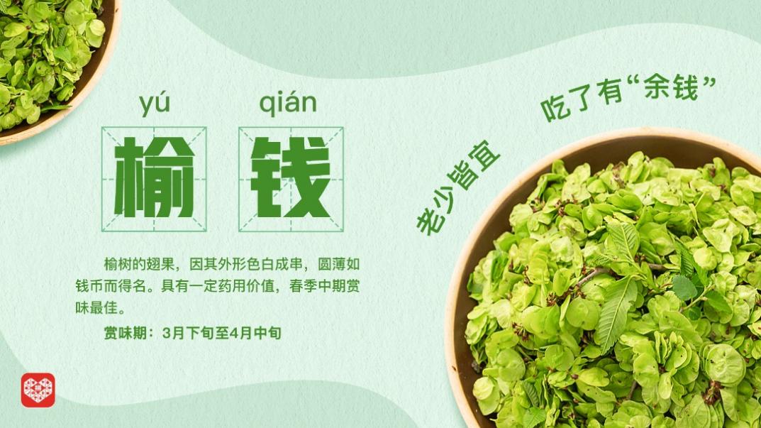 產(chǎn)地直發(fā)時令、百補加持春天，拼多多春菜爭鮮迎熱銷4.jpg