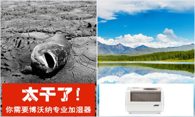 房間太干了，還能用什么加濕器？