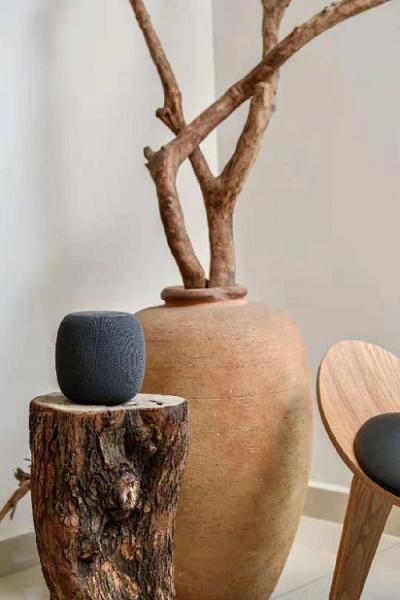用AI傾聽(tīng)，小提琴大師的樂(lè)曲和詩(shī)