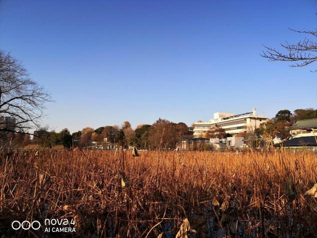 廣角拍攝為什么會成為趨勢？看看華為nova4拍攝的樣張就知道了