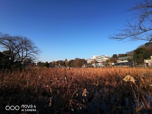 廣角拍攝為什么會成為趨勢？看看華為nova4拍攝的樣張就知道了