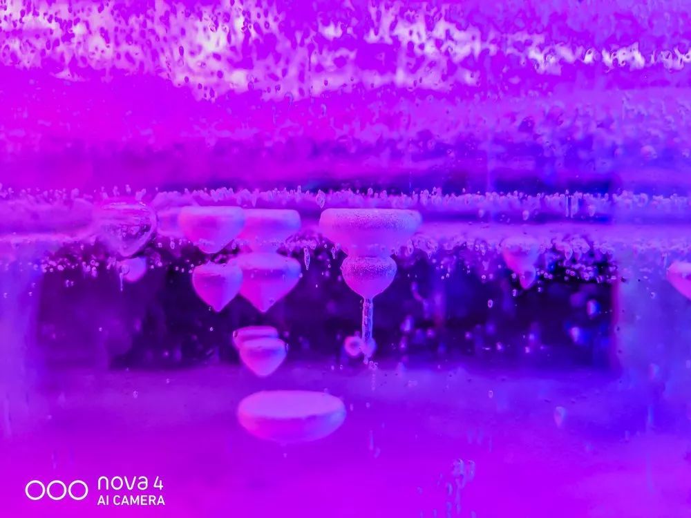 從蒼茫大地到絢麗古都，用華為nova4的超廣角留住一路美景