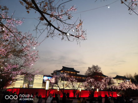 三大電商平臺好評近滿分，華為nova4為何受到如此歡迎？