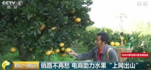 拼多多上市“元年”動作頻出 想證明什么？