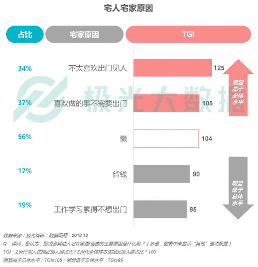 極光大數(shù)據(jù)：Z世代宅人面面觀，興趣之上、執(zhí)著專一