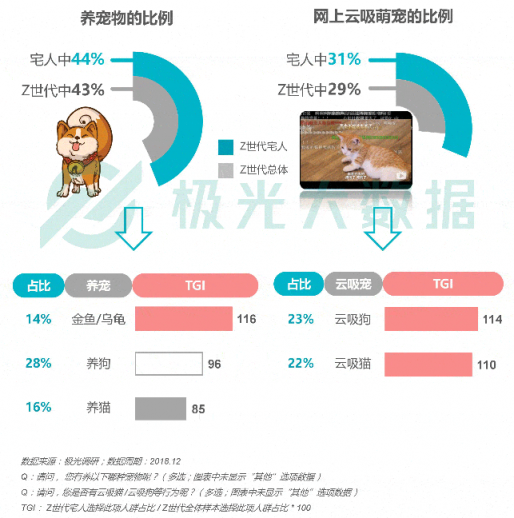 極光大數(shù)據(jù)：Z世代宅人面面觀，興趣之上、執(zhí)著專一