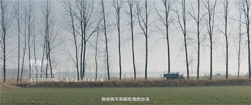 今日頭條發(fā)布首支用戶紀(jì)錄短片《找到》：返鄉(xiāng)種植戶找到畝產(chǎn)提升300斤的秘訣