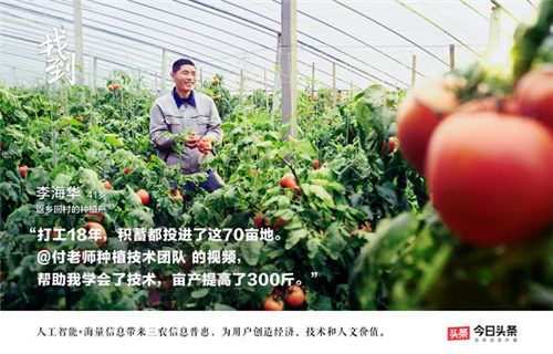 今日頭條發(fā)布首支用戶紀(jì)錄短片《找到》：返鄉(xiāng)種植戶找到畝產(chǎn)提升300斤的秘訣