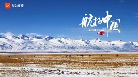 抓住新年的尾巴，華為視頻伴你共度元宵！