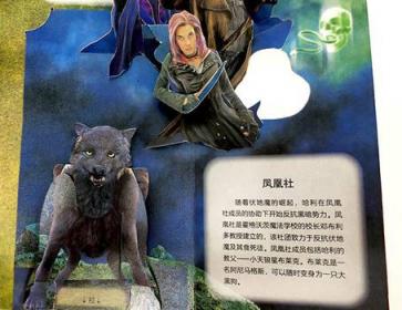 哈利·波特立體書《霍格沃茲》中文版面世，摩點(diǎn)預(yù)售引爆千萬哈迷搶購狂歡