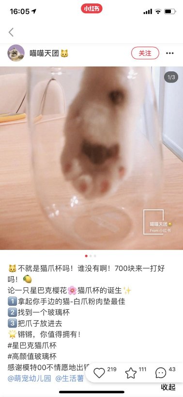成功買到星巴克限量貓爪杯的人都匯聚在了小紅書?是的沒錯(cuò)!