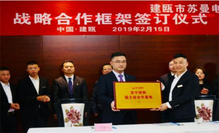 蘇寧拼購包山包湖又包海，如此雄心壯志究竟為哪般？