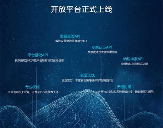 數(shù)族科技開放平臺亮相廣州支付展，票財稅賦能零售商企用戶