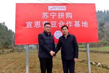 3月8日超級拼購日 蘇寧“拼基地”土貨直銷