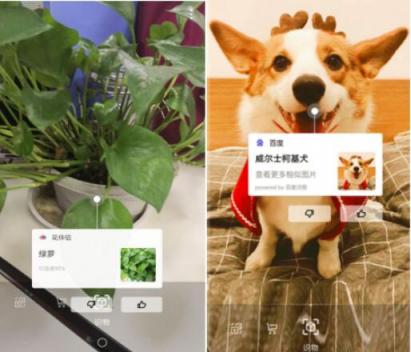 花樣青春多彩人生， 女神節(jié)華為nova系升級EMUI9.0質(zhì)享生活