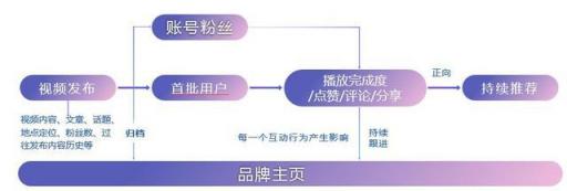 干貨︱一篇長(zhǎng)文，微播易帶你讀懂抖音營(yíng)銷的全部門道
