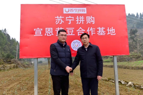 優(yōu)質(zhì)生鮮平臺(tái)如何打造？蘇寧拼購給出最佳答案