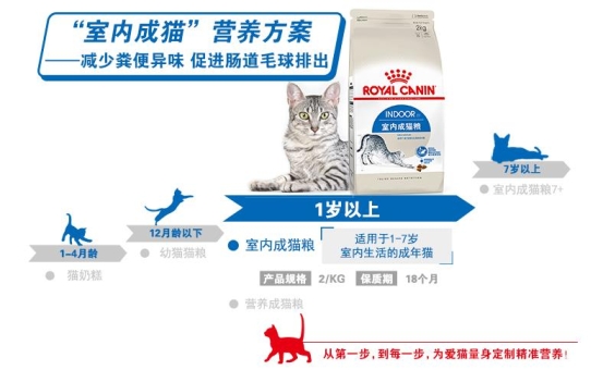 二哈拆家？蘇寧煥新節(jié)給鏟屎官支招