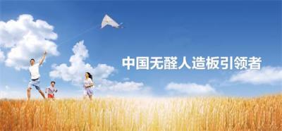 湘糧板業(yè)參編《人造板用無甲醛添加膠黏劑》團(tuán)體標(biāo)準(zhǔn)制定，引領(lǐng)無醛板市場發(fā)展